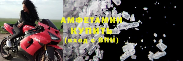 индика Богородск