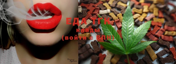 индика Богородск