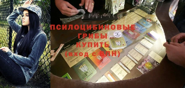 таблы Богородицк