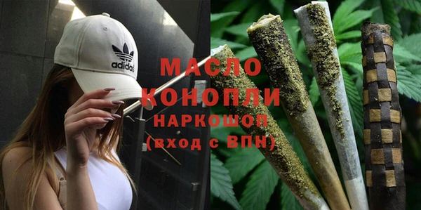 индика Богородск