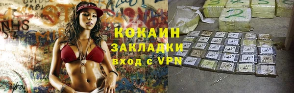 индика Богородск