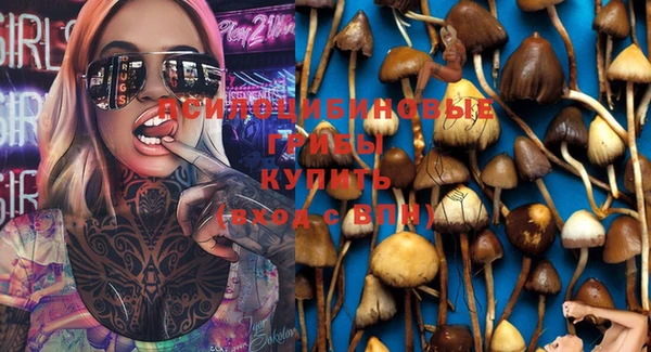 прущая мука Беломорск